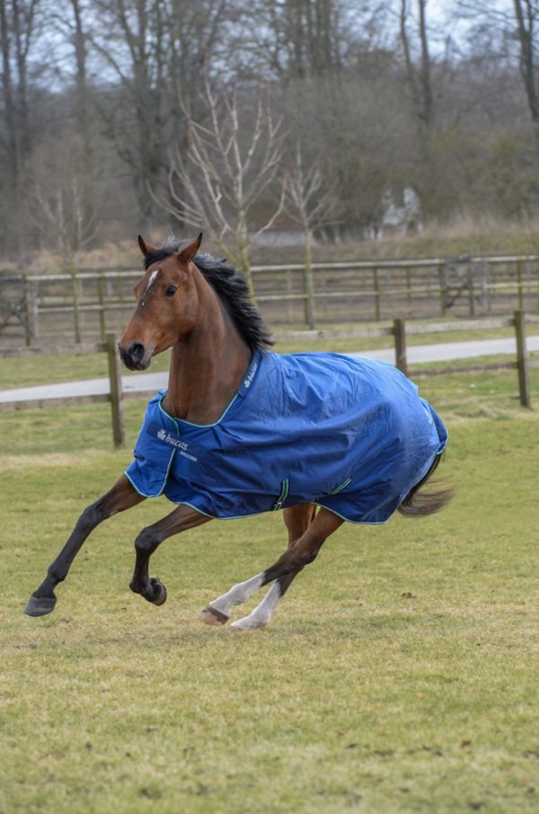 [ Bucas ] Smartex Medium Blanket 150gr - Image 4