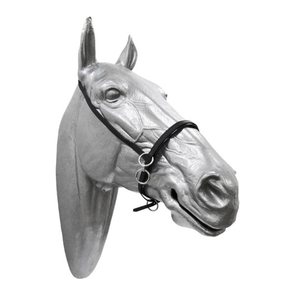 [ Trotting Project ] Small BETA halter with rings - Image 2