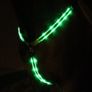 Animal Light collier LED