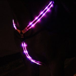 Animal Light collier LED3
