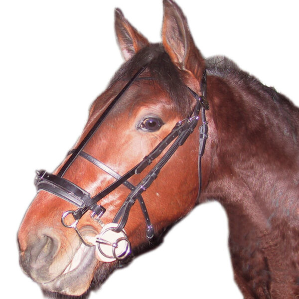 [ Wahlsten ] Hackamore bit for trotting