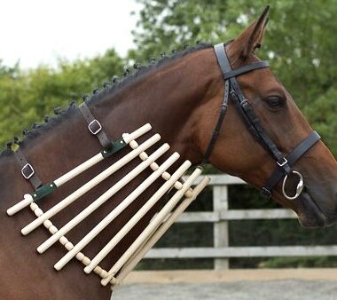 [ Shires ] Collier d'encolure en bois