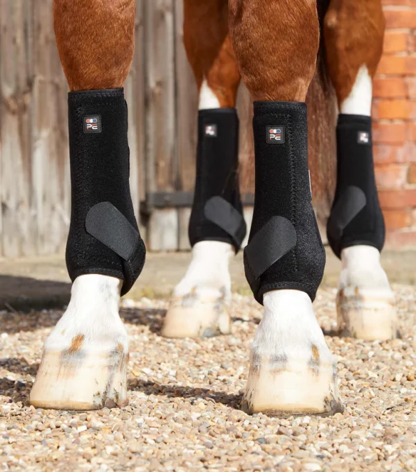 [ Premier Equine ] Gamaschen Air-Tech Sports Medicine – Bild 33