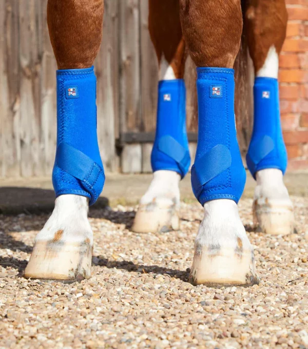 [ Premier Equine ] Gamaschen Air-Tech Sports Medicine – Bild 27