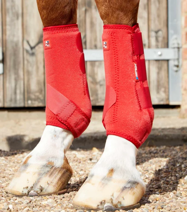 [ Premier Equine ] Gamaschen Air-Tech Sports Medicine – Bild 16