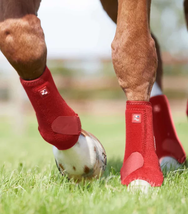 [ Premier Equine ] Gamaschen Air-Tech Sports Medicine – Bild 15