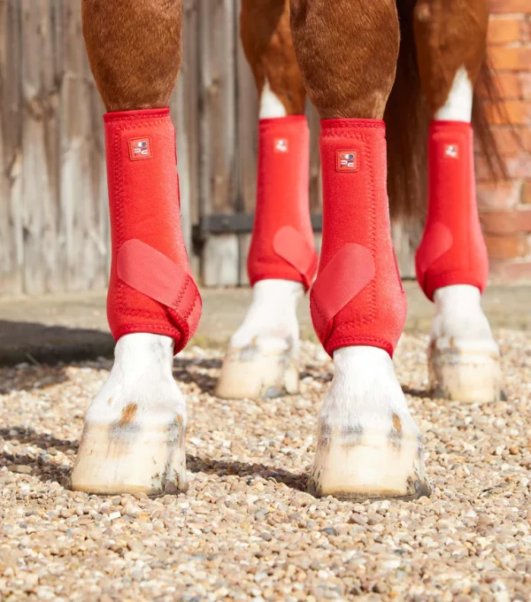 [ Premier Equine ] Gamaschen Air-Tech Sports Medicine – Bild 13