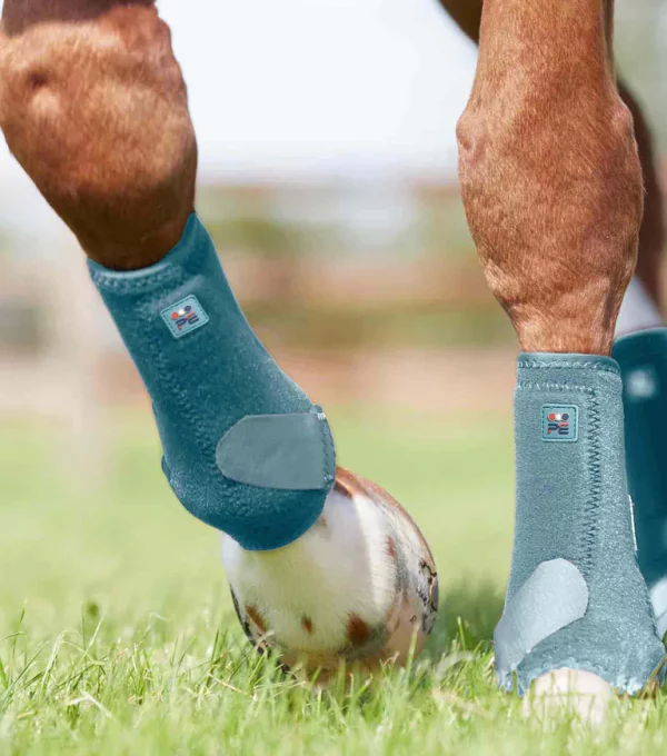 [ Premier Equine ] Gamaschen Air-Tech Sports Medicine – Bild 9