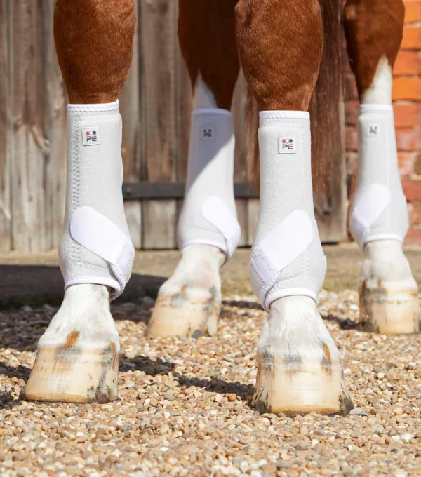 [ Premier Equine ] Gamaschen Air-Tech Sports Medicine – Bild 6