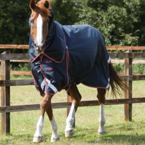 Buster-50-Turnout-Rug-Navy-1_2048x