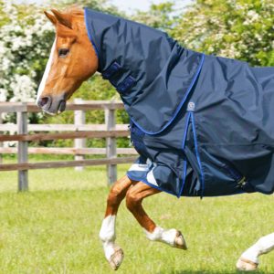 buster-40g-turnout-rug-with-classic-neck-cover-203450n-132642_1536x