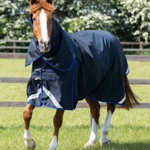 buster-40g-turnout-rug-with-classic-neck-cover-203450n-745507_1536x