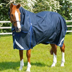 buster-40g-turnout-rug-with-classic-neck-cover-203450n-778905_1536x