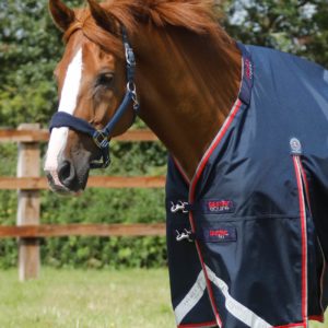 buster-50g-turnout-rug-with-snug-fit-neck-cover-2213-56n-450996_2048x