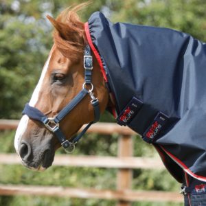 buster-50g-turnout-rug-with-snug-fit-neck-cover-2213-56n-633413_2048x