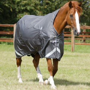 buster-hardy-0g-half-neck-turnout-rug-220656g-267617_2048x