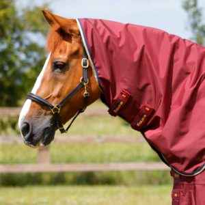 buster-zero-turnout-rug-with-classic-neck-cover-203156brg-401559_1536x