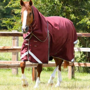 buster-zero-turnout-rug-with-classic-neck-cover-203156brg-967499_1536x