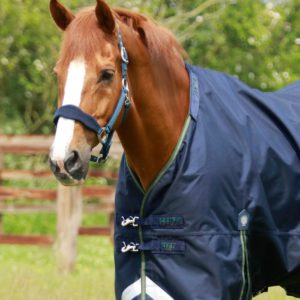 titan-40g-turnout-rug-with-snug-fit-neck-cover-202556n-490268_2048x