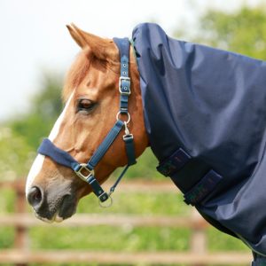 titan-40g-turnout-rug-with-snug-fit-neck-cover-202556n-665555_2048x