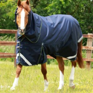 titan-40g-turnout-rug-with-snug-fit-neck-cover-202556n-814800_2048x