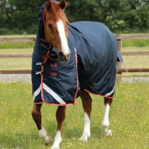 Buster-Storm-200-Turnout-Rug-Navy-1_2048x