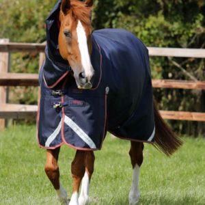 Titan-100g-Turnout-Rug-with-Snug-Fit-Neck-Cover-Image-7_1536x