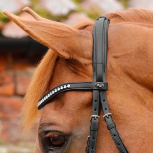 bellissima-crank-bridle-with-diamante-browband-8012-c-288552_2048x