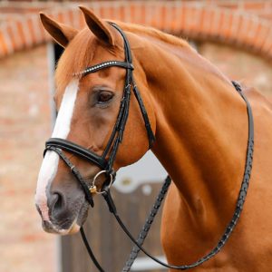 bellissima-crank-bridle-with-diamante-browband-8012-c-703011_2048x