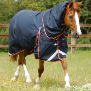buster-100g-turnout-rug-with-snug-fit-neck-cover-220256n-231444_1536x