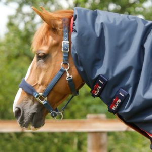 buster-100g-turnout-rug-with-snug-fit-neck-cover-220256n-355271_1536x