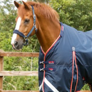 buster-100g-turnout-rug-with-snug-fit-neck-cover-220256n-394095_1536x