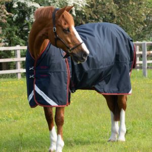 buster-150g-turnout-rug-with-classic-neck-cover-205950n-382556_1536x
