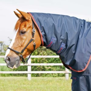 buster-150g-turnout-rug-with-classic-neck-cover-205950n-618688_1536x