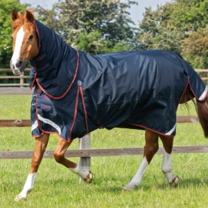 buster-150g-turnout-rug-with-classic-neck-cover-205950n-875599_1536x