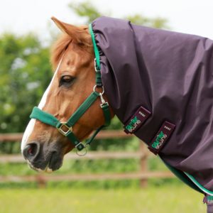 buster-200g-turnout-rug-with-snug-fit-neck-cover-219856p-462287_2048x