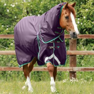 buster-200g-turnout-rug-with-snug-fit-neck-cover-219856p-587202_2048x