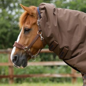 buster-400g-turnout-rug-with-snug-fit-neck-cover-219456brw-453609_2048x