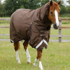 buster-400g-turnout-rug-with-snug-fit-neck-cover-219456brw-833507_2048x