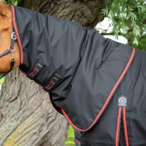 buster-420g-turnout-rug-with-classic-neck-cover-209750blk-773937_2048x