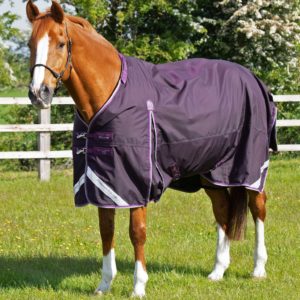 buster-70g-turnout-rug-with-classic-neck-cover-203750prp-260322_1536x