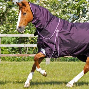 buster-70g-turnout-rug-with-classic-neck-cover-203750prp-465610_2048x