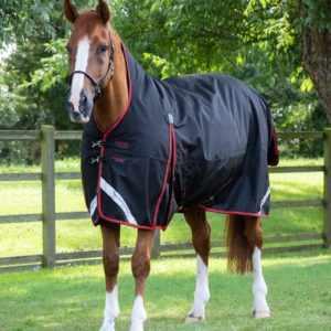 buster-hardy-400g-half-neck-turnout-rug-203050b-922644_2048x