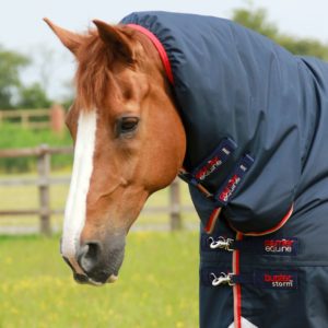 buster-storm-200g-combo-turnout-rug-with-snug-fit-neck-220156n-750228_2048x