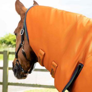 buster-storm-400g-combo-turnout-rug-with-classic-neck-220950bo-938650_2048x