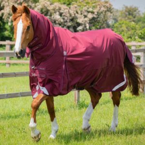 buster-storm-90g-combo-turnout-rug-with-classic-neck-215750brg-188173_1536x