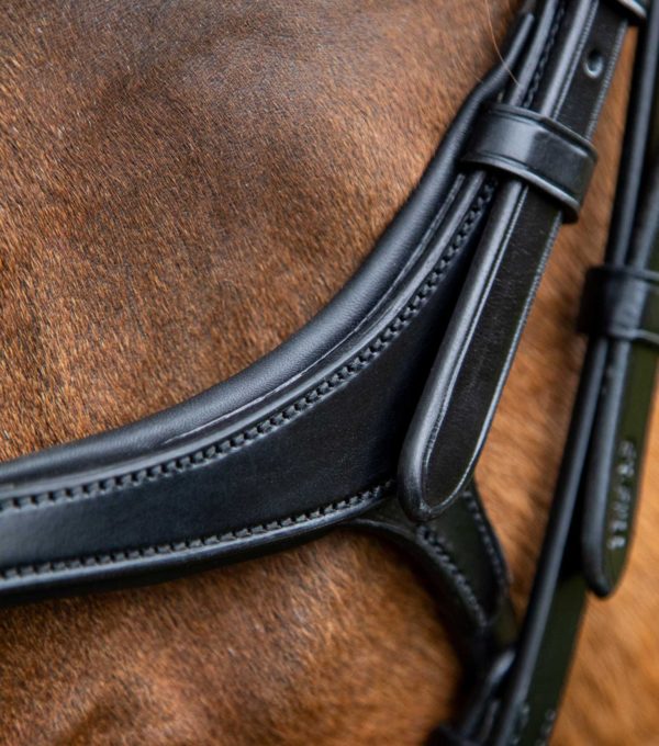 [ Premier Equine ] Glorioso bride mexicaine – Image 2