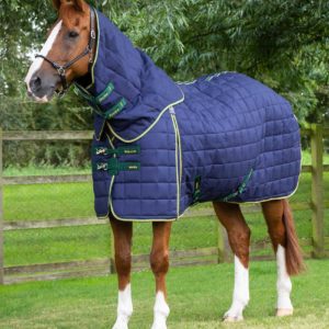 lucanta-450g-stable-rug-with-neck-cover-214056n-320193_2048x