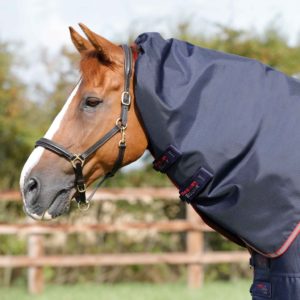 titan-100g-turnout-rug-with-snug-fit-neck-cover-201256n-584142_1536x