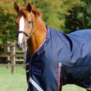 titan-100g-turnout-rug-with-snug-fit-neck-cover-201256n-995300_1536x
